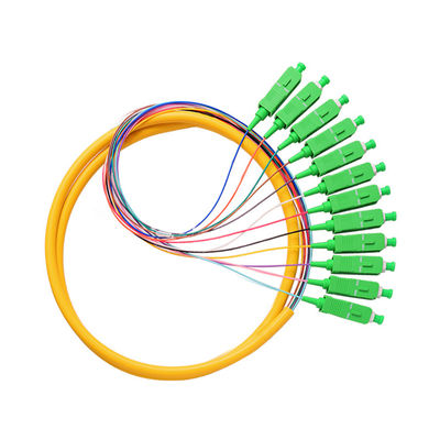 Lungozza personalizzabile SCAPC Pigtail in fibra ottica con garanzia di 5 anni
